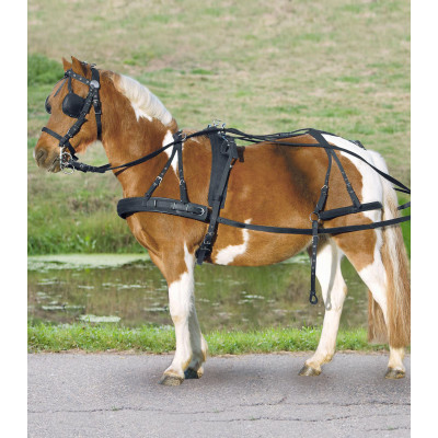 Harnais synthétique simple Star poney shetland