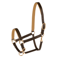 Licol cuir Star Diamond Marron / or