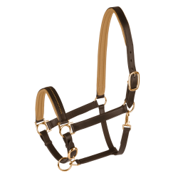 Licol cuir Star Diamond