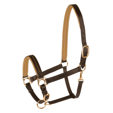 Licol cuir Star Diamond