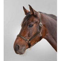 Licol cuir Star Diamond Marron / or Licol cuir Star Diamond Marron / or