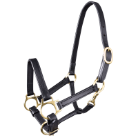 Licol en cuir Star poulain Noir
