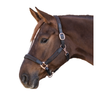 Licol Star Mix Marron / or rosé