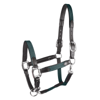 Licol Star Mix Vert sapin / argent