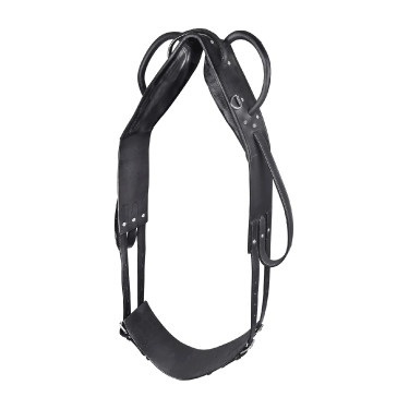 Surfaix Star voltige et longe Noir