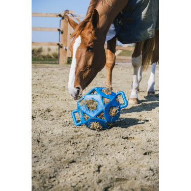 Balle de jeu / balle à foin Kentucky Balle de jeu / balle à foin Kentucky