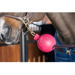 Balle protection d'attache Kentucky Rose pâle