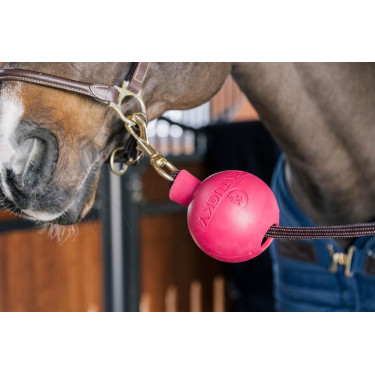 Balle protection d'attache Kentucky Rose pâle Balle protection d'attache Kentucky Rose pâle