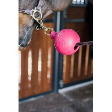 Balle protection d'attache Kentucky Rose pâle Balle protection d'attache Kentucky Rose pâle