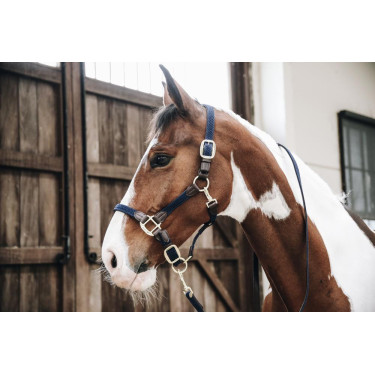 Longe Plaited Nylon Kentucky Longe Plaited Nylon Kentucky