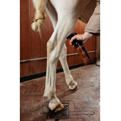 Détachant tâches vertes et poussière Amande Grooming Deluxe by Kentucky