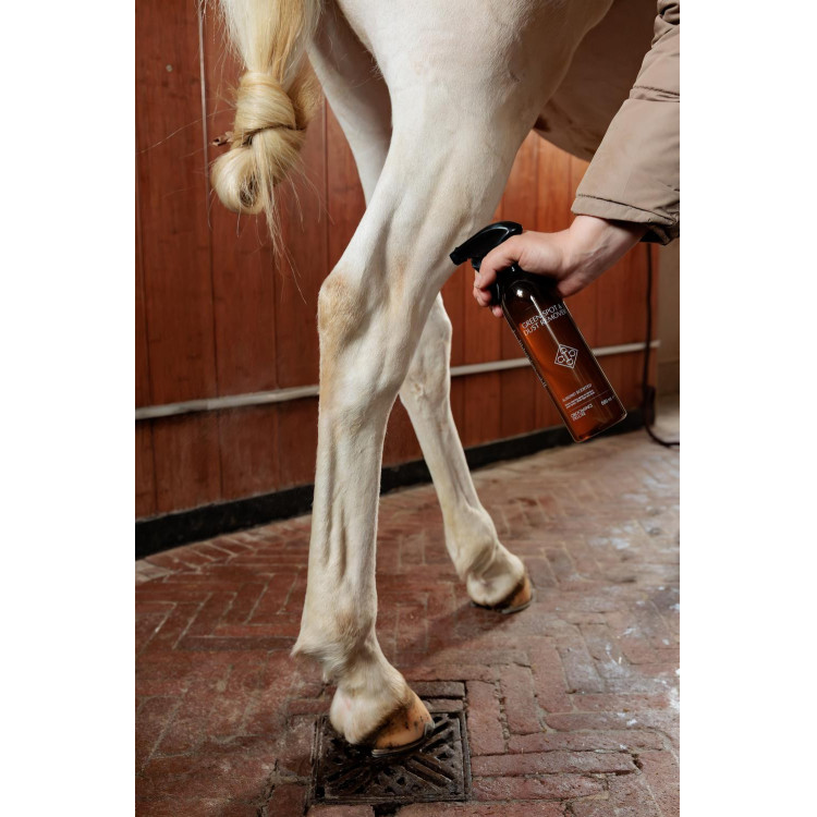 Détachant tâches vertes et poussière Amande Grooming Deluxe by Kentucky Détachant tâches vertes et poussière Amande Grooming Deluxe by Kentucky