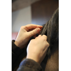 Elastiques Grooming Deluxe by Kentucky Naturel Marron