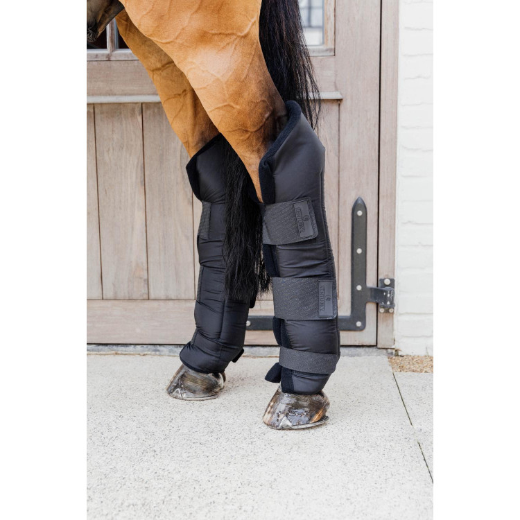 Guêtres de repos PROtect long derriere protection de jarret Kentucky Guêtres de repos PROtect long derriere protection de jarret Kentucky