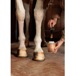 Huile pour Pieds Shine Grooming Deluxe by Kentucky Naturel Marron