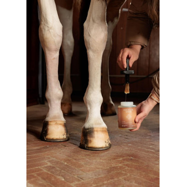 Huile pour Pieds Shine Grooming Deluxe by Kentucky Huile pour Pieds Shine Grooming Deluxe by Kentucky