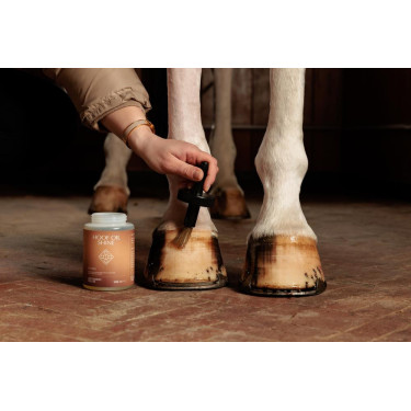Huile pour Pieds Shine Grooming Deluxe by Kentucky Huile pour Pieds Shine Grooming Deluxe by Kentucky