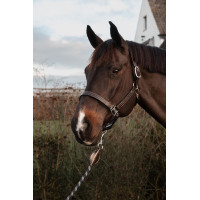 Licol US avec Ajustements Dy'on Working Collection Marron