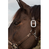 Licol US avec Ajustements Dy'on Working Collection Marron
