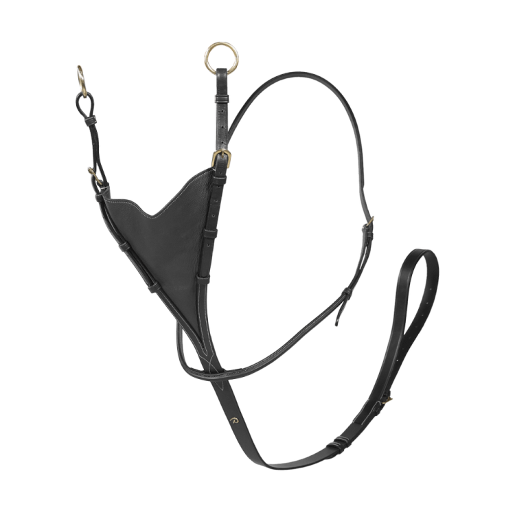Martingale Pleine Cuir Soft Dy'on D Collection Martingale Pleine Cuir Soft Dy'on D Collection