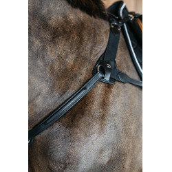 Pad de protection pour collier de chasse 5 points Dy'on