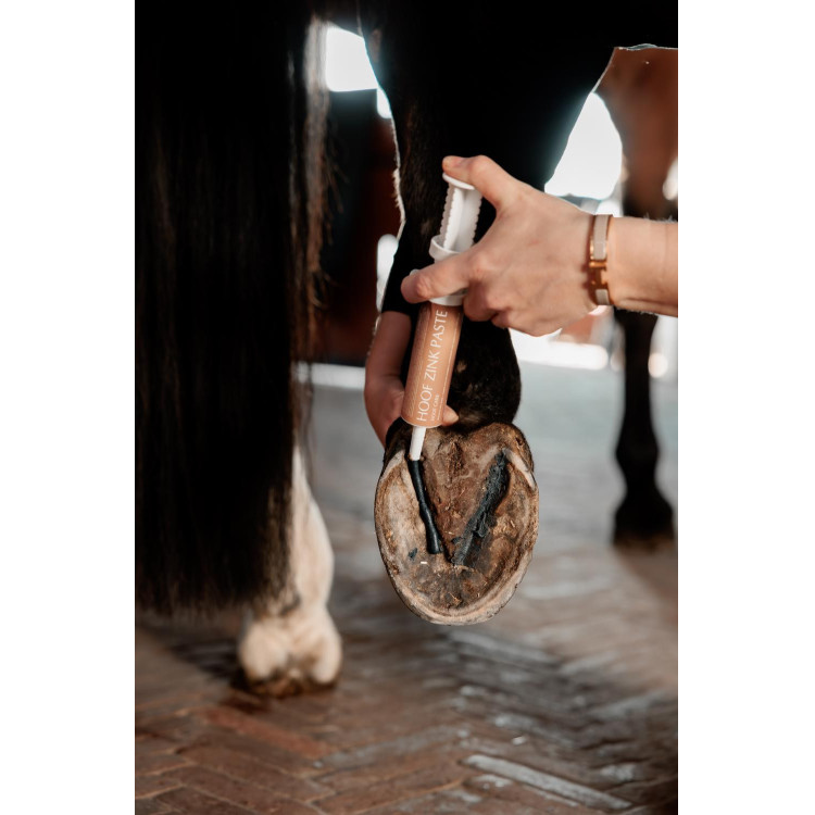 Pâte de zinc Equi Hoof Grooming Deluxe by Kentucky Pâte de zinc Equi Hoof Grooming Deluxe by Kentucky