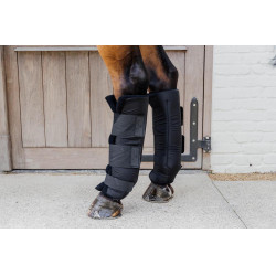 Protections d'écurie PROtect Classic postérieurs Kentucky Noir