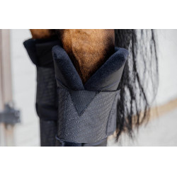 Protections d'écurie PROtect Classic postérieurs Kentucky Noir