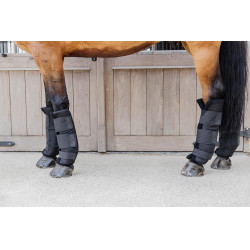 Protections d'écurie PROtect Classic postérieurs Kentucky Noir