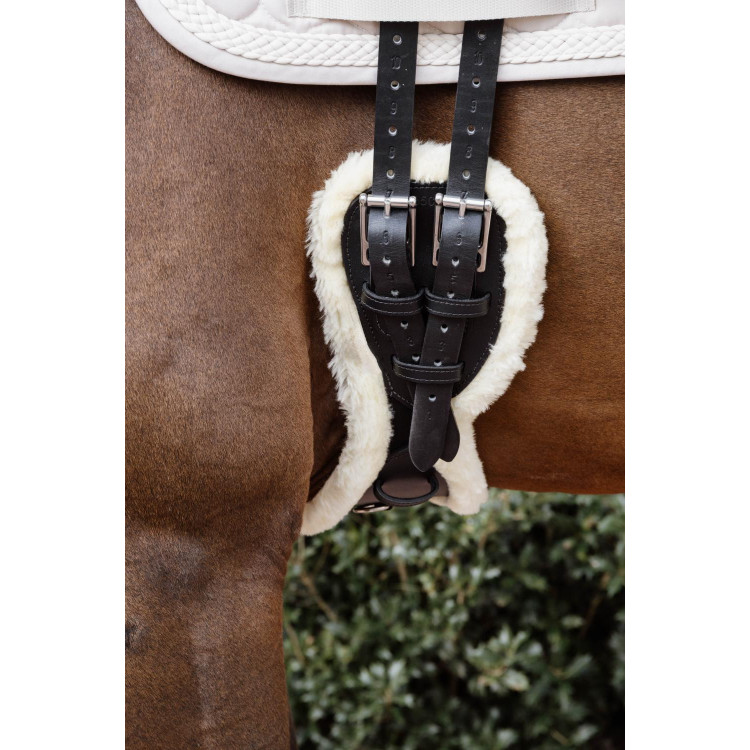 Sangle Courte Anatomique mouton Kentucky Sangle Courte Anatomique mouton Kentucky
