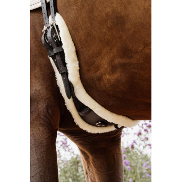 Sangle Courte Anatomique mouton Kentucky Sangle Courte Anatomique mouton Kentucky