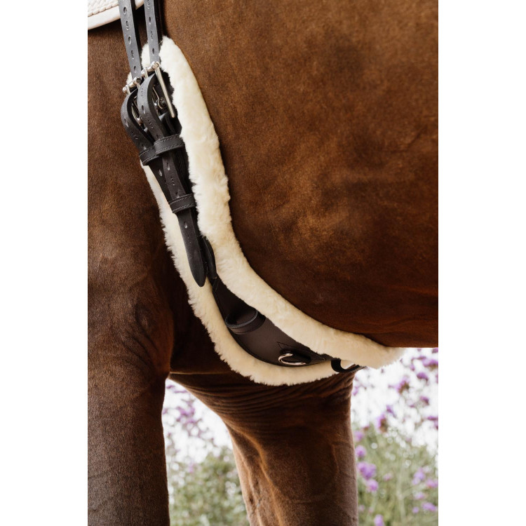 Sangle Courte Anatomique mouton Kentucky Sangle Courte Anatomique mouton Kentucky