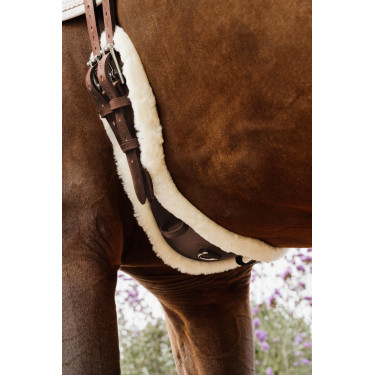 Sangle Courte Anatomique mouton Kentucky Marron Sangle Courte Anatomique mouton Kentucky Marron