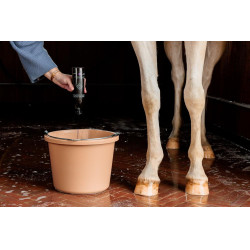 Shampoing Mauve à l’Amande Grooming Deluxe by Kentucky Shampoing Mauve à l’Amande Grooming Deluxe by Kentucky