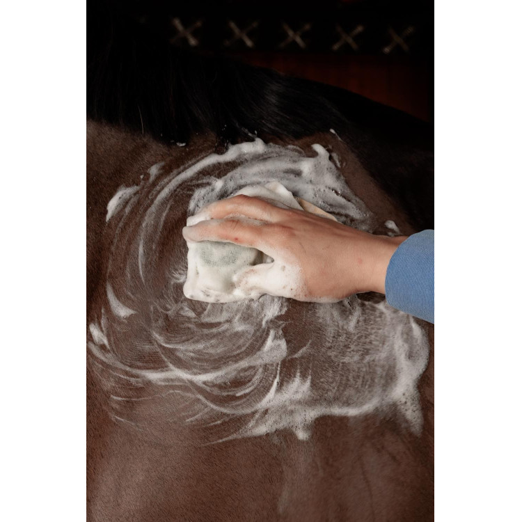Shampoing Solide Grooming Deluxe by Kentucky Shampoing Solide Grooming Deluxe by Kentucky