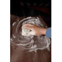 Shampoing Solide Grooming Deluxe by Kentucky Aloe Vera