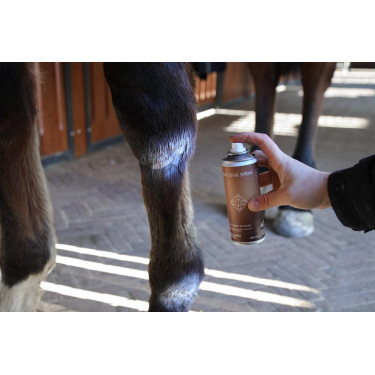 Spray au Zinc Grooming Deluxe by Kentucky Spray au Zinc Grooming Deluxe by Kentucky