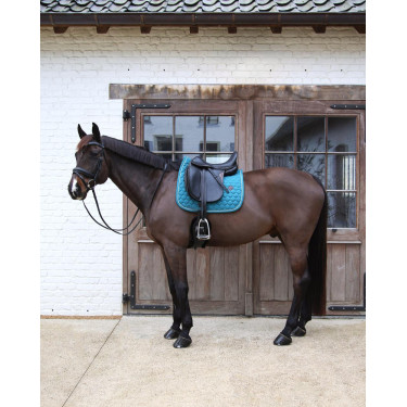 Tapis de Selle Kentucky Melange Dressage Tapis de Selle Kentucky Melange Dressage