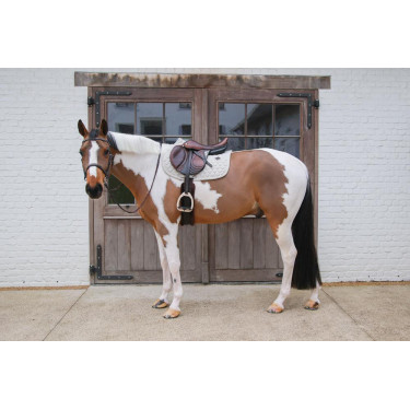 Tapis de Selle Kentucky Melange Jumping Tapis de Selle Kentucky Melange Jumping