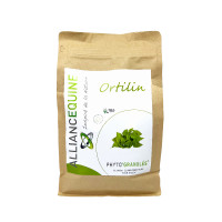 Ortilin Alliance Equine