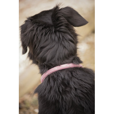 Collier pour chien Penelope Billie Collier pour chien Penelope Billie