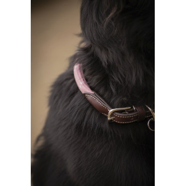 Collier pour chien Penelope Billie Collier pour chien Penelope Billie