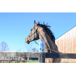 Natural'Breath Natural'Innov Natural'Breath Natural'Innov