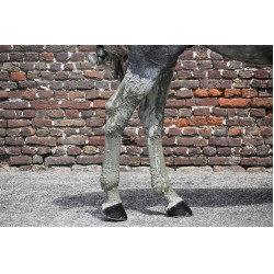 Natural'Recup Natural'Innov Natural'Recup Natural'Innov