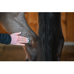 Natural'Balm Natural'Innov Natural'Balm Natural'Innov