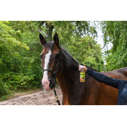 Natural'Fly Natural'Innov