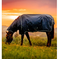 Couverture Horseware Amigo Ripstop 900D Plus Poney Turnout 100g Marine witney Bleu marine Couverture Horseware Amigo Ripstop 900D Plus Poney Turnout 100g Marine witney Bleu marine