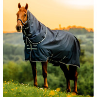 Couverture Horseware Amigo Ripstop 900D Plus Poney Turnout 100g Marine witney Bleu marine Couverture Horseware Amigo Ripstop 900D Plus Poney Turnout 100g Marine witney Bleu marine