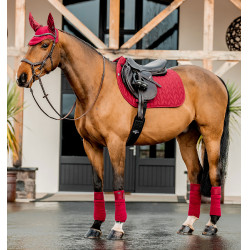 Bonnet anti-mouches Horseware Amigo Earnet Mûre Bordeaux