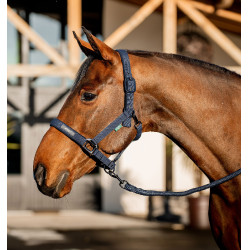 Licol et longe Amigo Horseware Marine Bleu marine